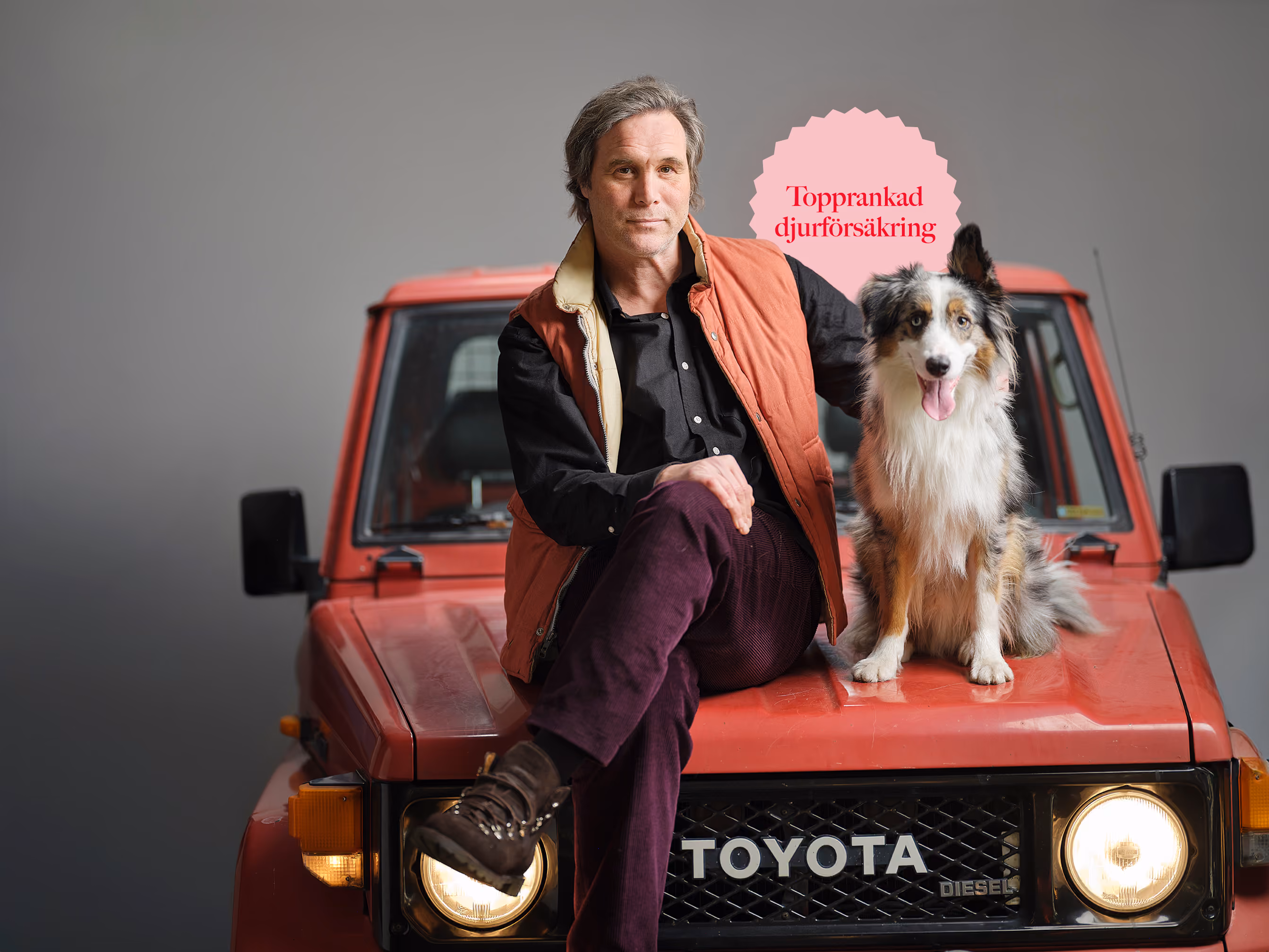 Man in orange vest sitting on a red Toyota hood with a happy Australian Shepherd dog.