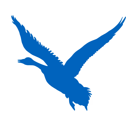 Canadian Goose Icon