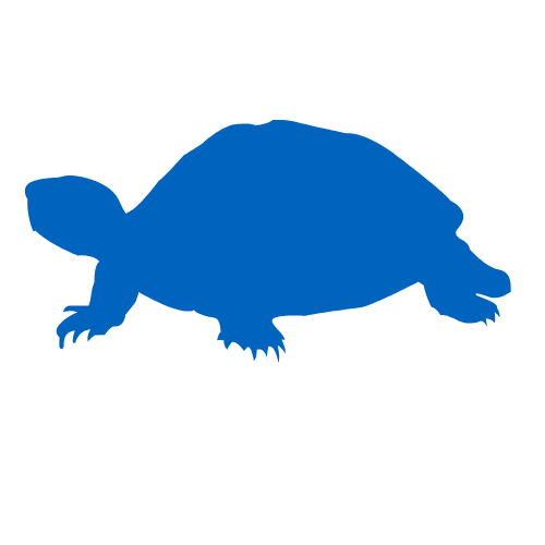 Snapping Turtle Icon