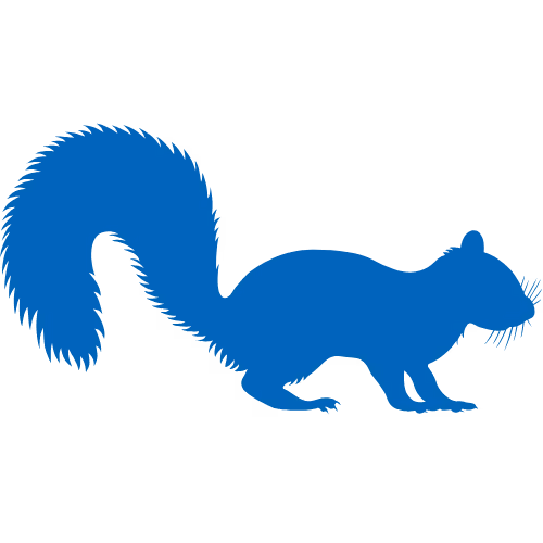 Squirrel Icon