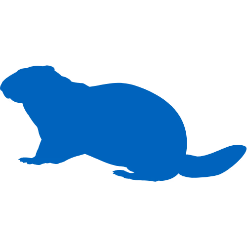 Grounhog Icon