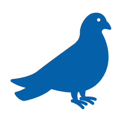 Pigeon Icon