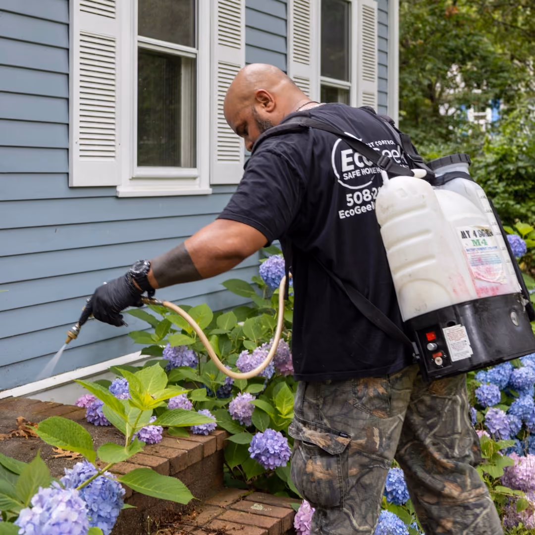 Ecogeek Extermination Company Serviceman