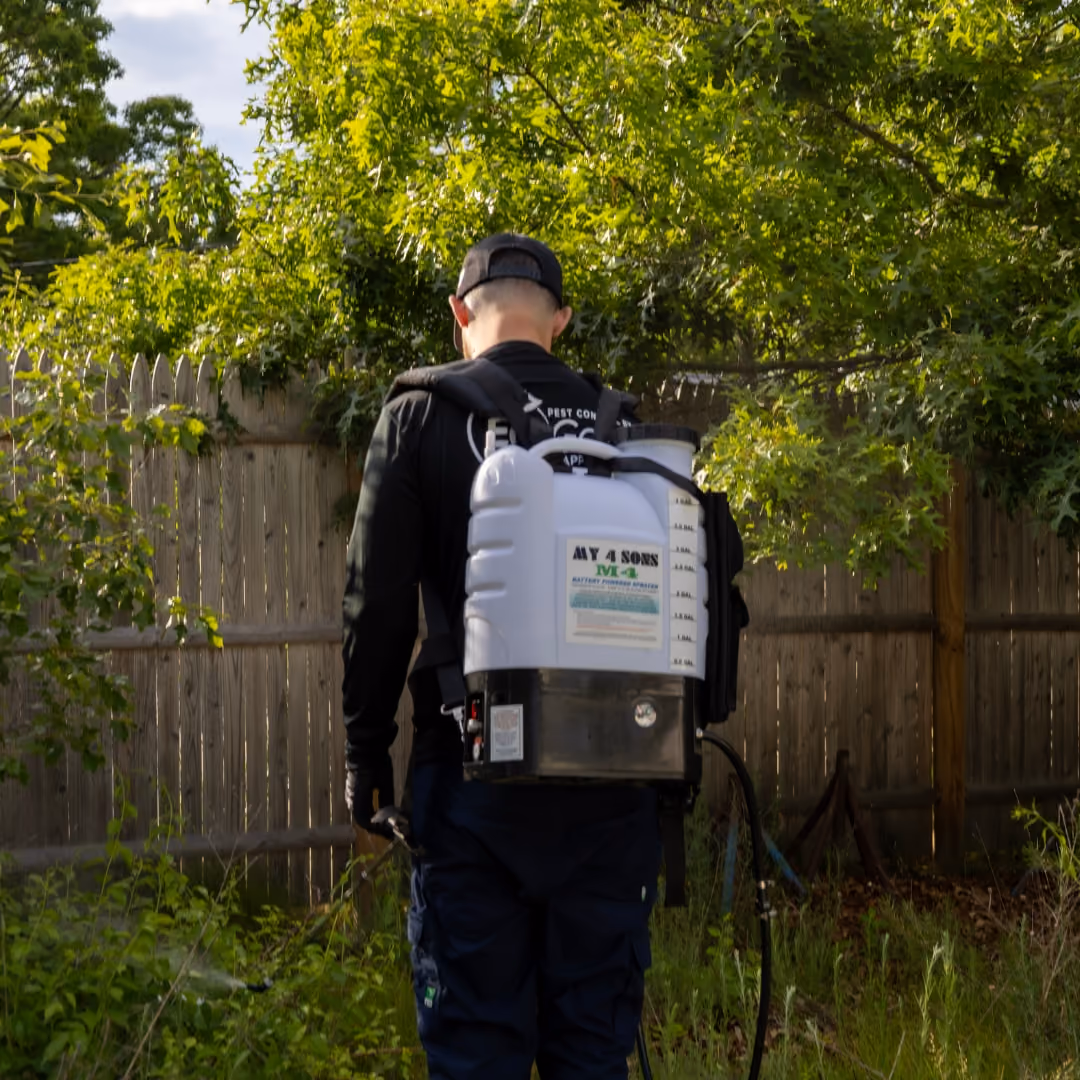Cape Cod Tick Exterminator Near Me