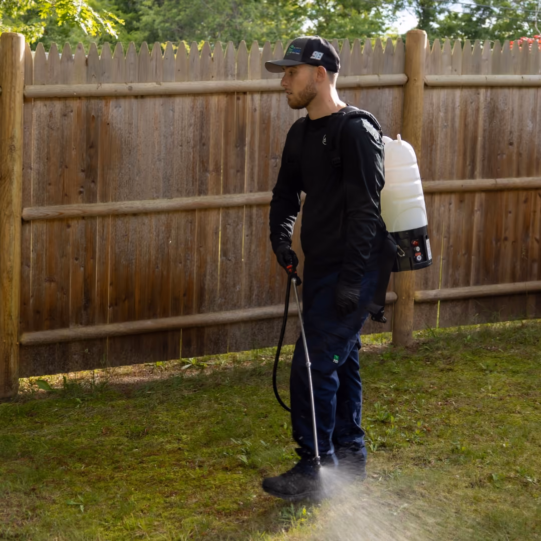 mosquito control cape cod near me