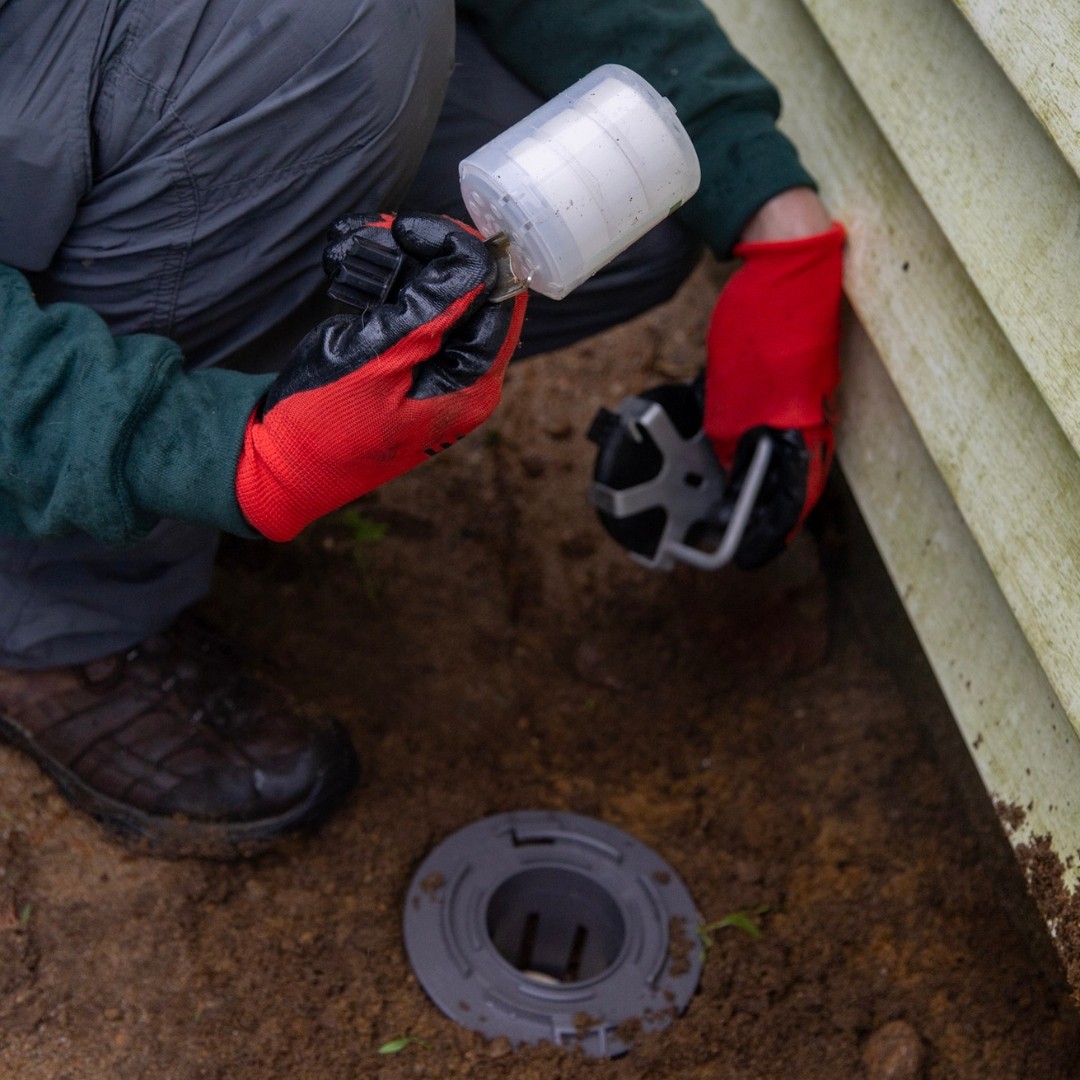 EcoGeek Pest Services