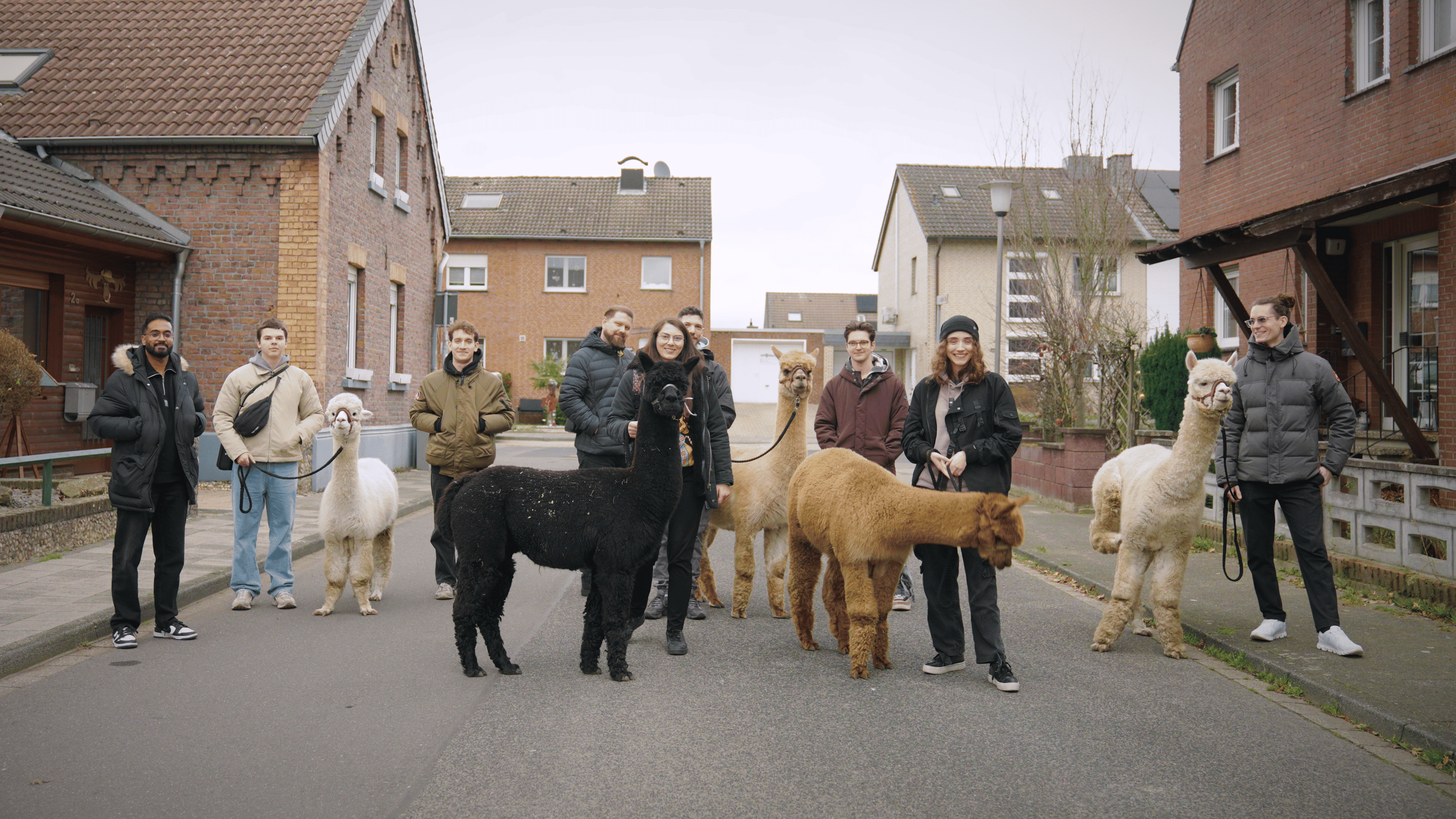 Das Team von marketer UX auf dem Firmengelände der Alpakazucht.