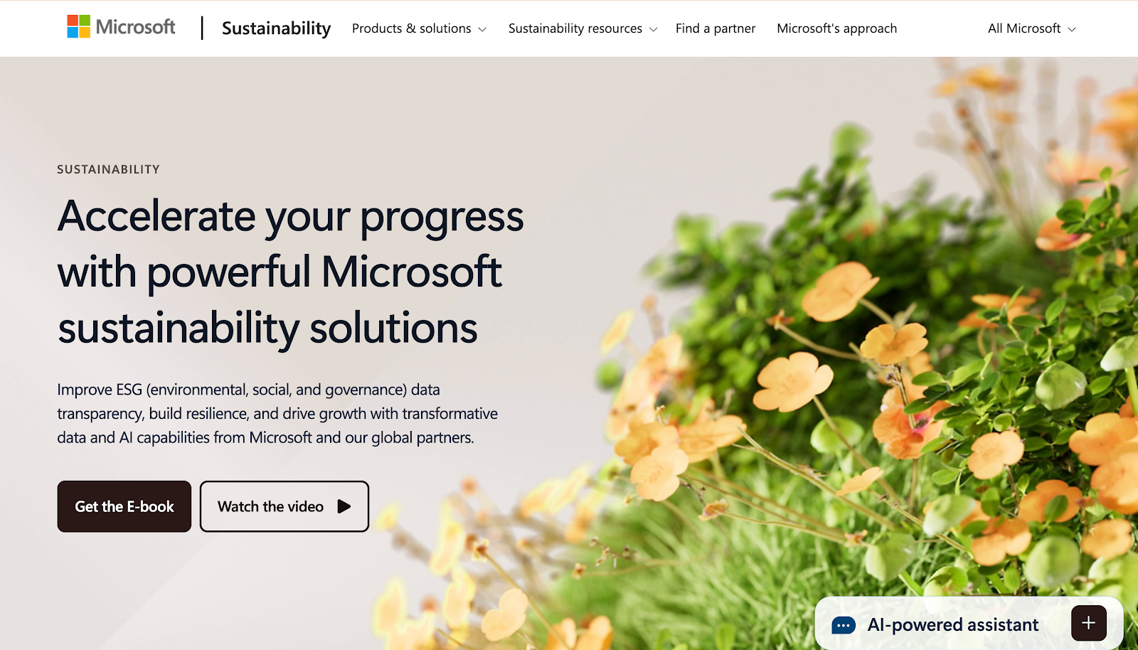Microsoft Sustainability Solutions