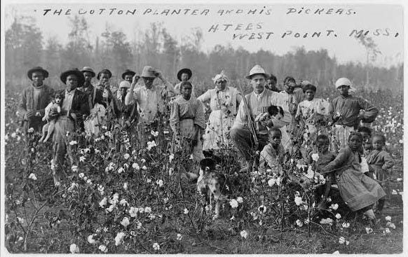 A clean, well dressed man in a vest and hat holding a gun and a dog, surrounded by poor field workers in a cotton field.