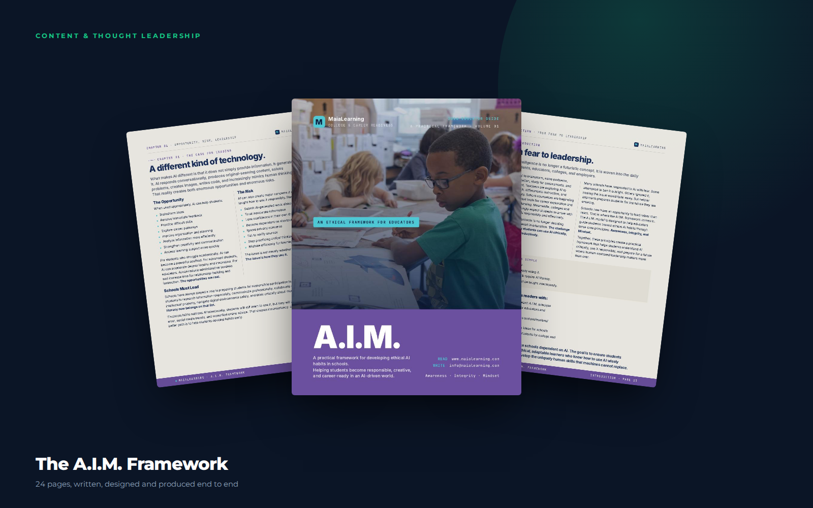 The A.I.M. Framework eBook