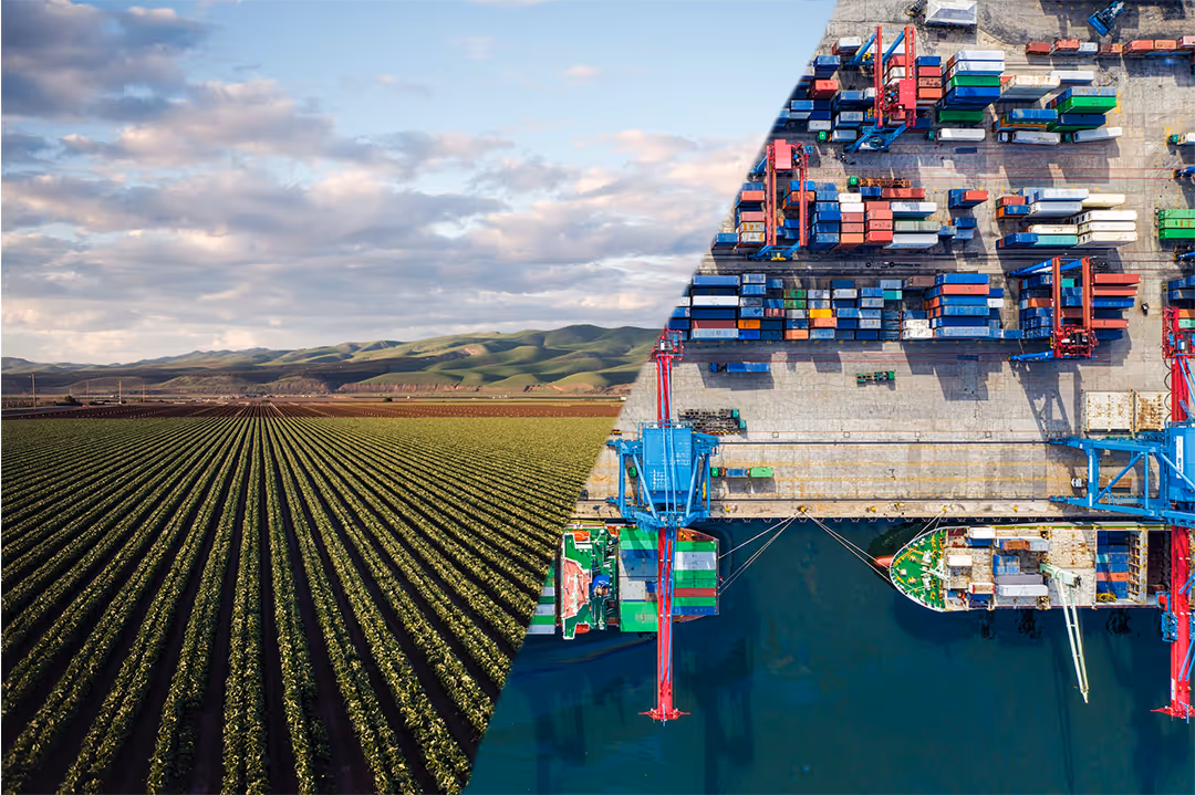 Image of a wheat field and a container port