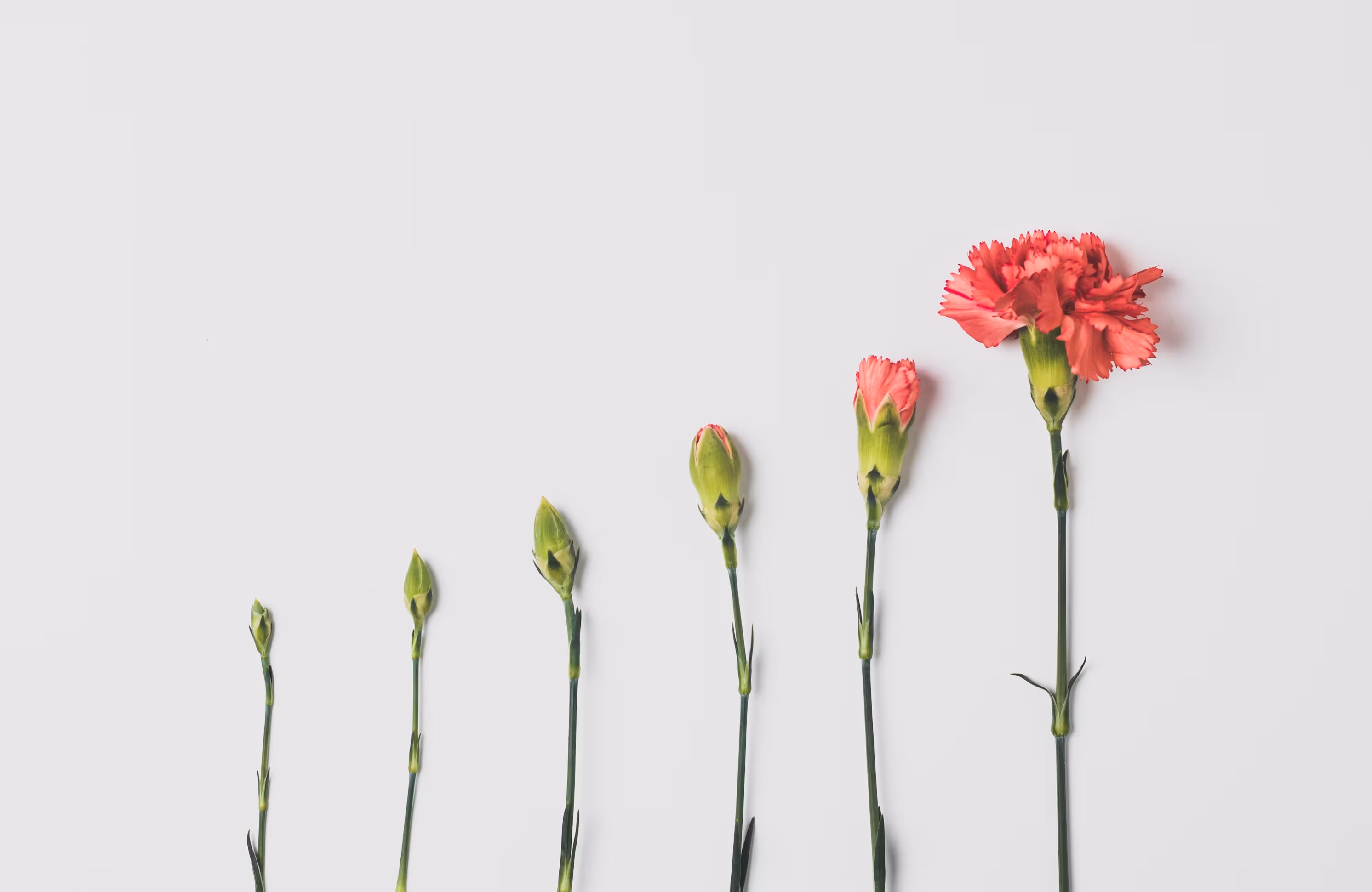 calculate-your-employee-engagement-roi
