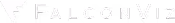 FalconViz