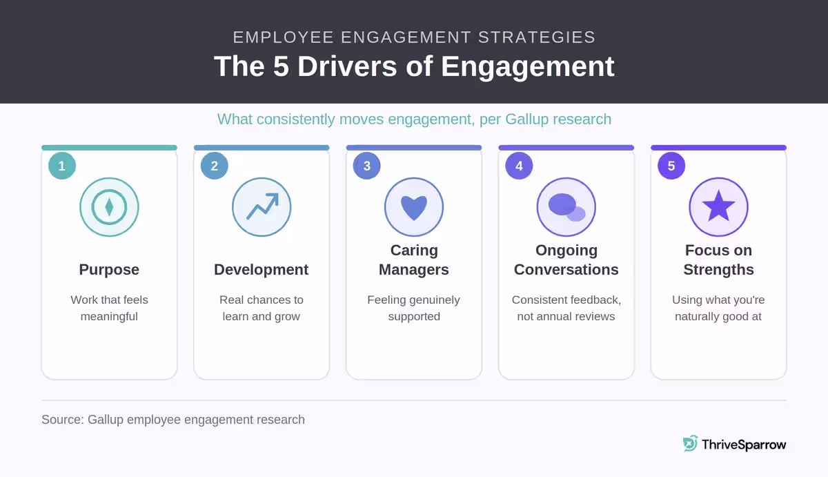 Infographic showing the five drivers of employee engagement identified by Gallup research: purpose, development, caring managers, ongoing conversations, and focus on strengths.