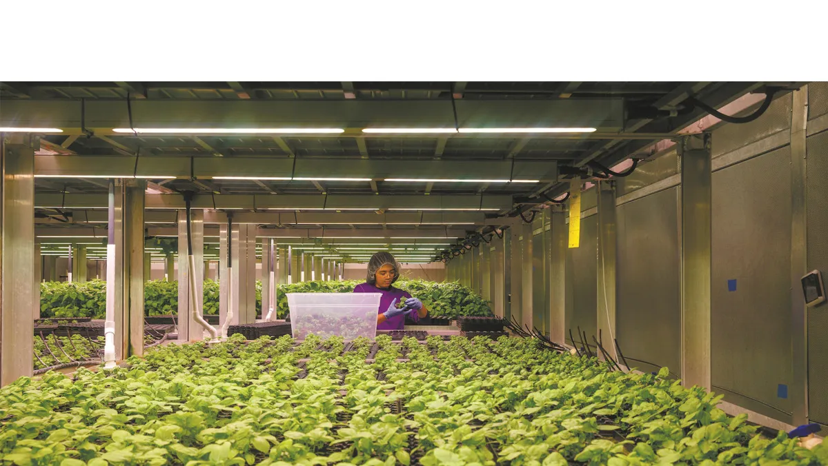 80 Acres Farms