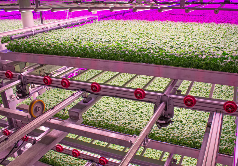 80 Acres Farms