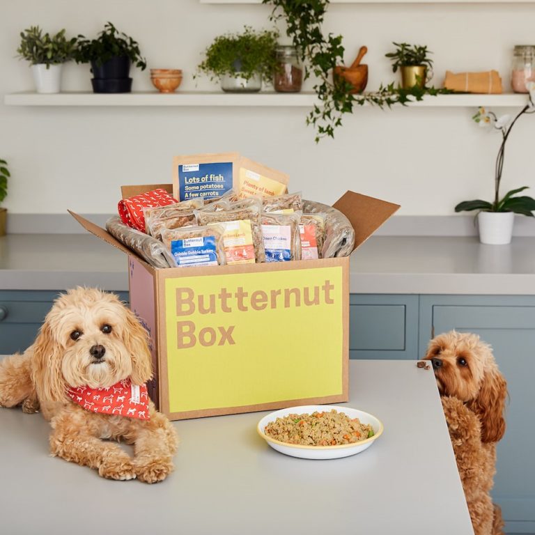 Butternut Box