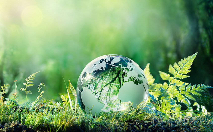 EcoVadis