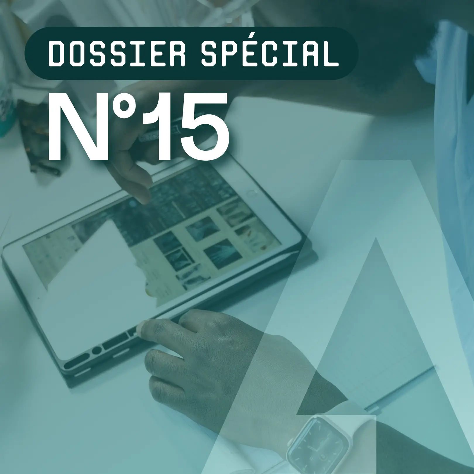 Article 5 - Dossier spécial N°15