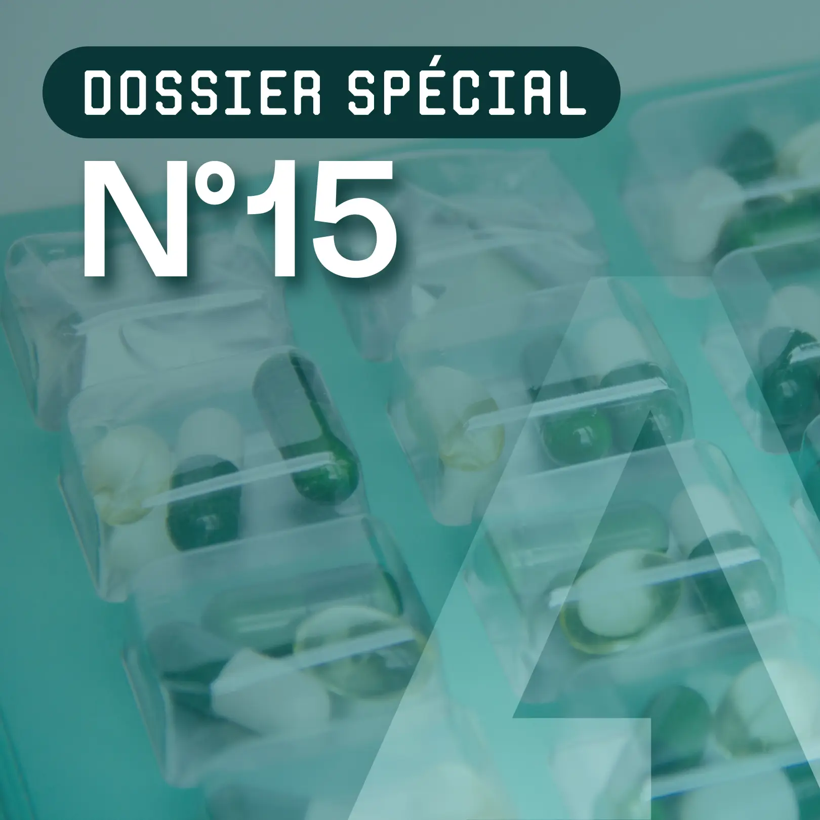 Article 6 - Dossier spécial N°15
