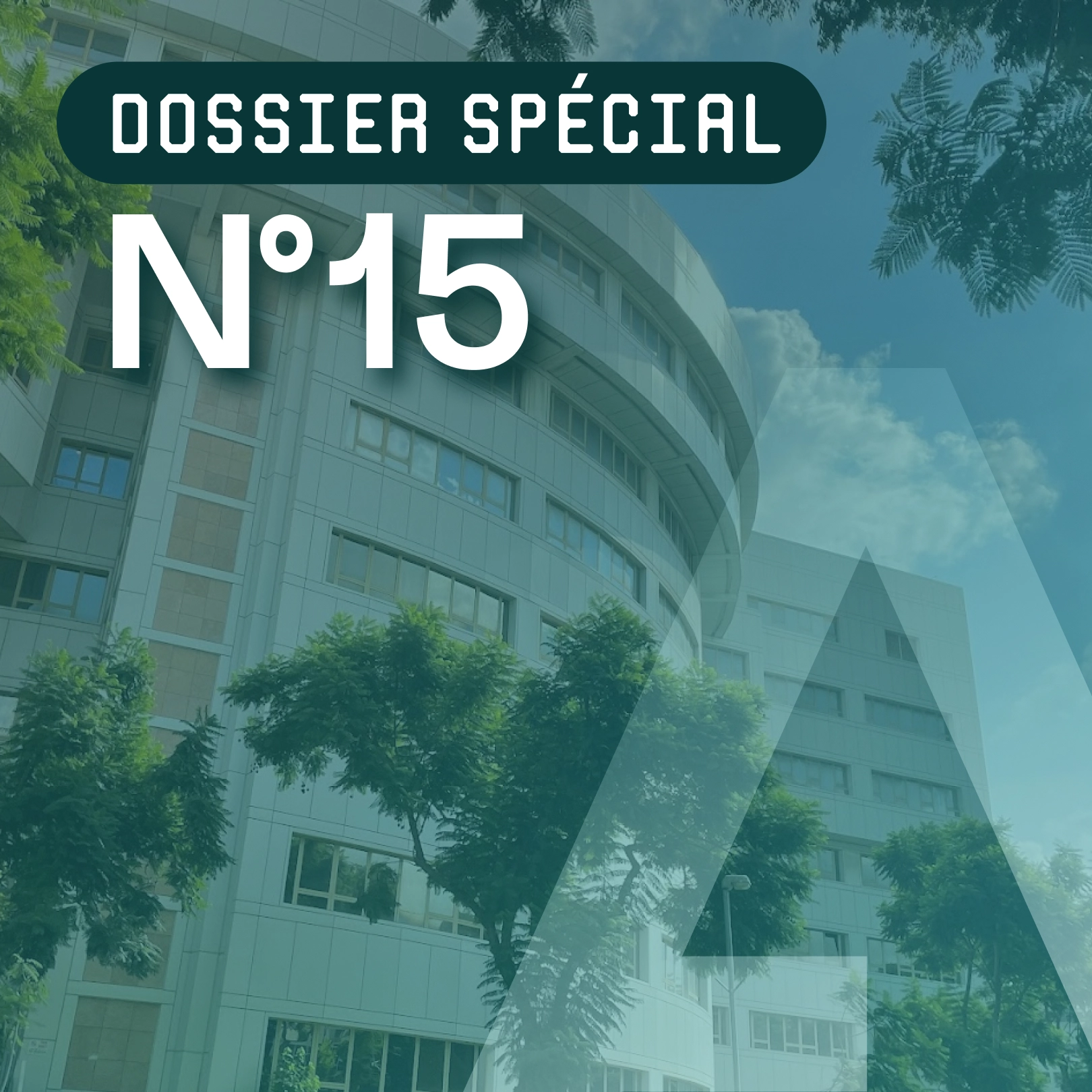 Article 3 - Dossier spécial N°15