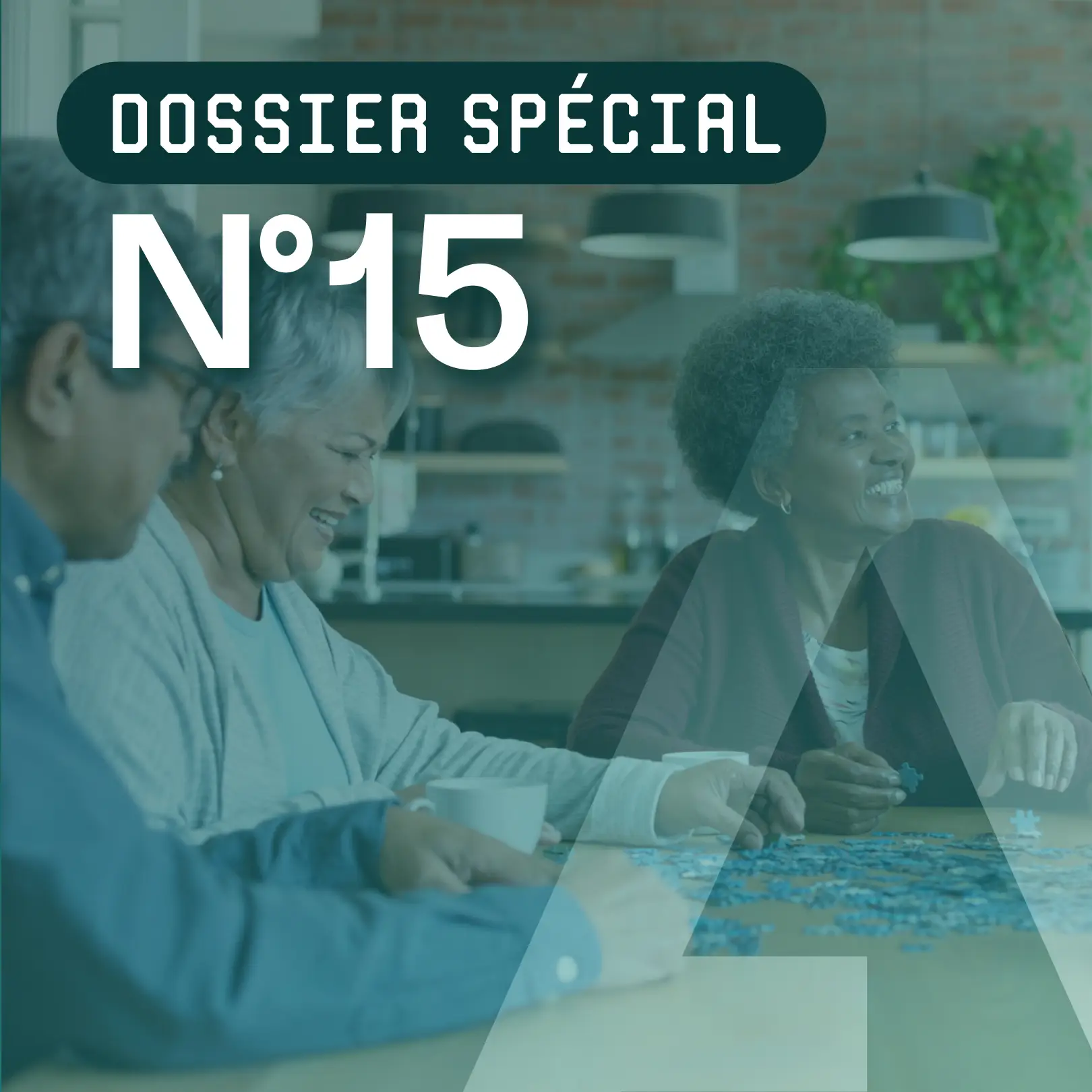 Article 4 - Dossier spécial N°15