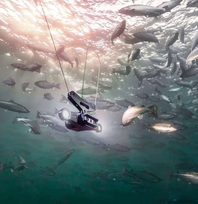 Caméra sous-marine Aquabyte analysant des poissons en aquaculture