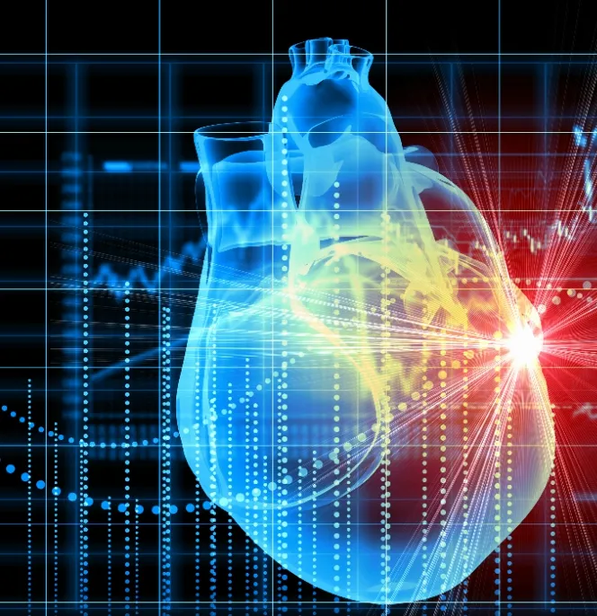 Modellazione numerica 3D di un cuore umano analizzato dall'intelligenza artificiale di Cleerly.