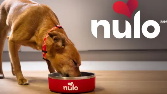 Nulo