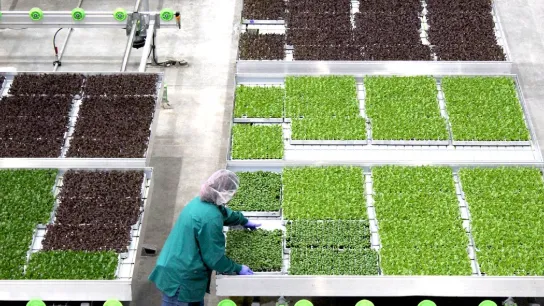80 Acres Farms