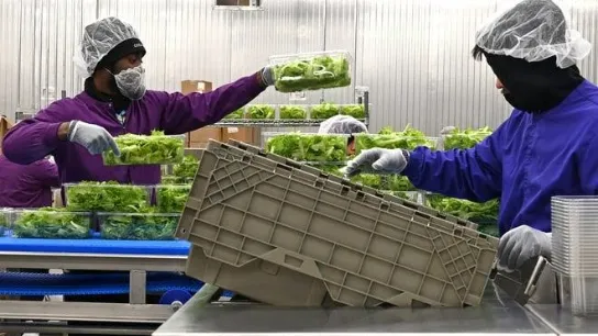 80 Acres Farms