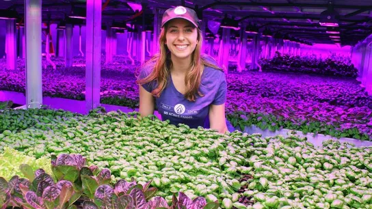 80 Acres Farms