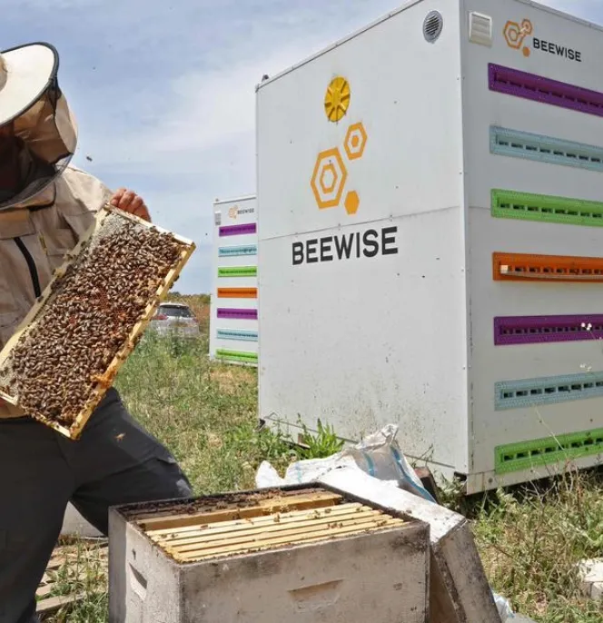 Ruche de la société Beewise, du portefeuille du gérant de Private Equity Insight Partners