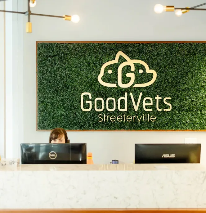 Cabinet de la société Goodvets, du portefeuille du gérant de Private Equity General Atlantic