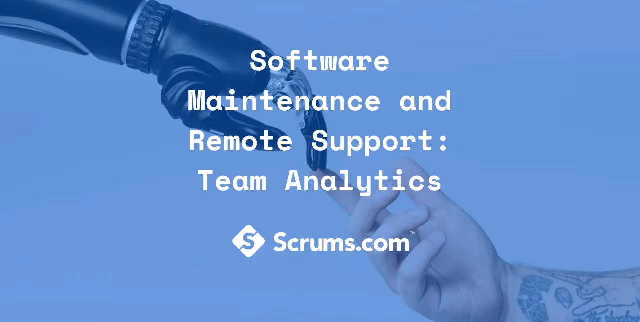 Software Maintenance and Remote Support: Team Analytics