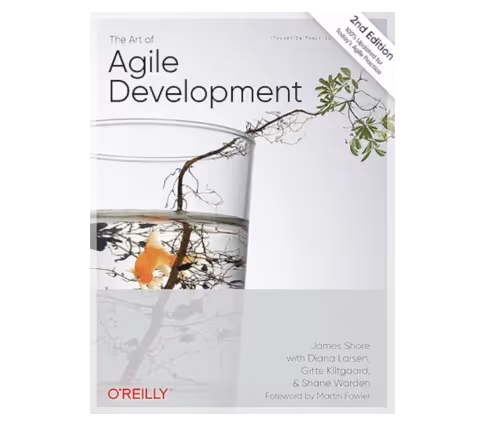 The Art of Agile Development