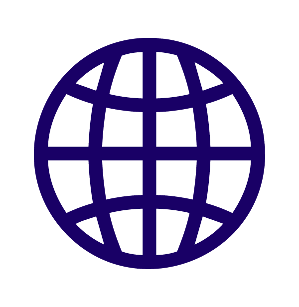 Icon of a globe with latitude and longitude lines.