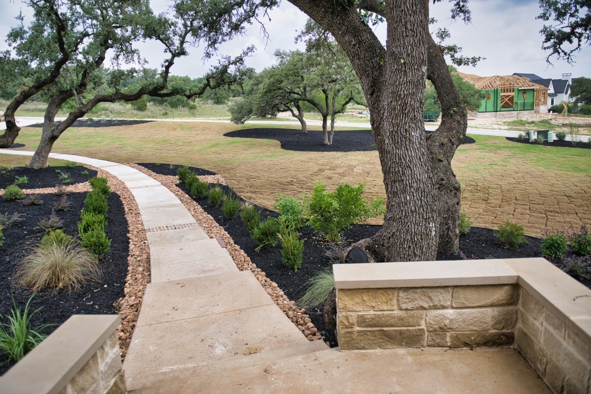 Pecan Springs