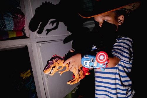 A boy wearing a cowboy hat plays with a dinosaur toy. The dinosaur casts a shadow over the wall and the boy's face.