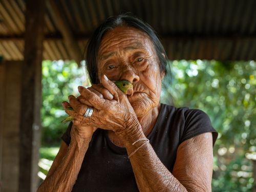 An elderly woman nuzzles a parrot close to her face.