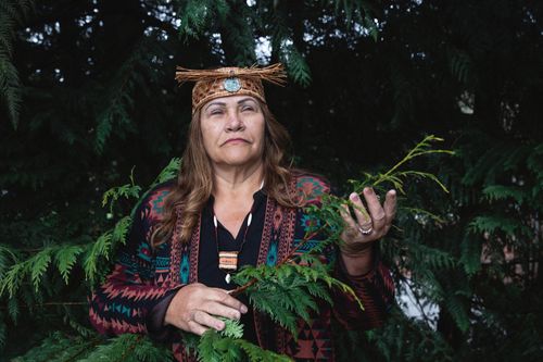 Trees and leaves surround a Native American woman dressed in traditional clothing.