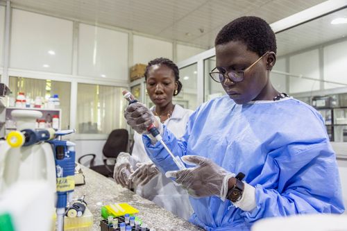 Two scientists use syringes and test tubes for research in a lab.