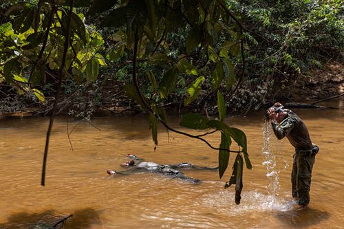 Two people are shown in a shallow brown creek in the rainforest, one floating on his back. Lush green foliage surrounds the scene, casting shadows on the river.
