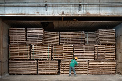 A worker in a green shirt and yellow hard hat adjusts stacks of neatly arranged wooden planks inside a large industrial warehouse. The planks are stacked high, filling the space.