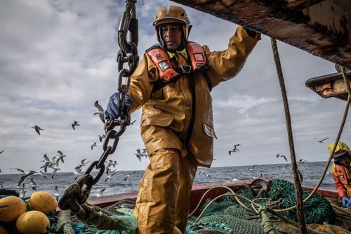 A person in yellow rain gear and a helmet works on a fishing boat, holding a large chain. Seagulls fly nearby against a cloudy sky. Fishing nets and buoys are visible on the boat deck.