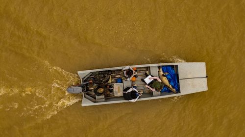 an aerial view of a small boat holding a few people and a deceased freshwater dolphin travels across yellow-tinted water.