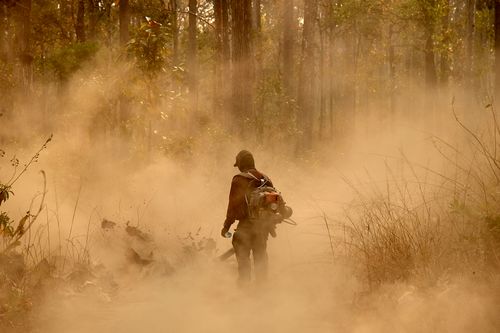 A person wearing a dark outfit and a backpack walks through a forest enveloped in orange smoke.