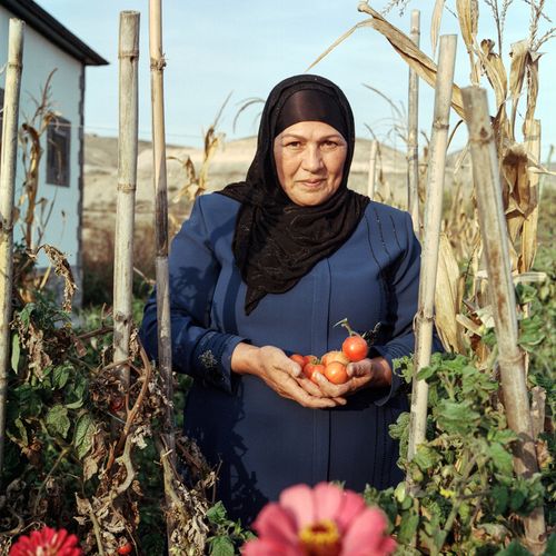 A person wearing a headscarf holds tomatoes in a garden.