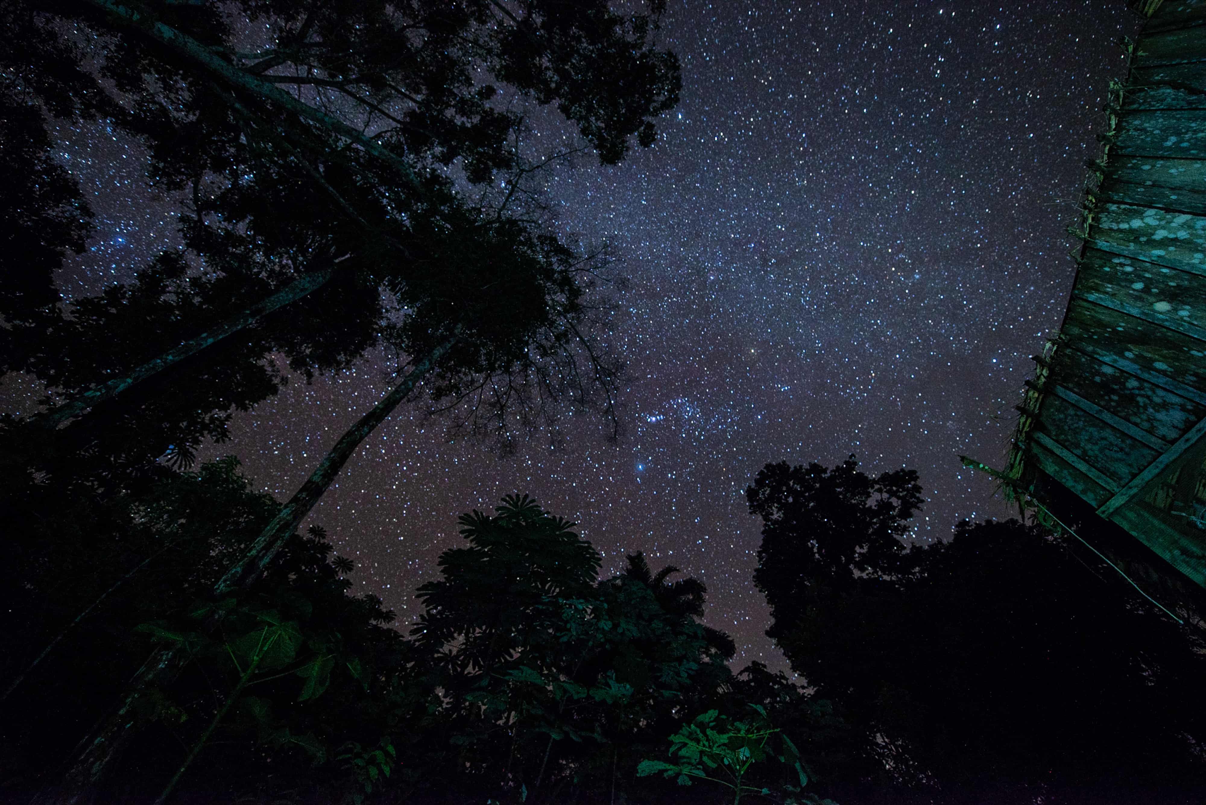The night sky and its constellations as seen from a village.