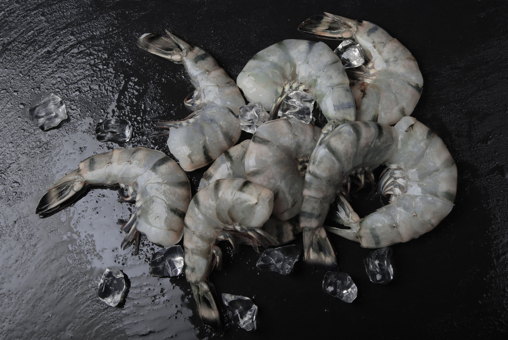 Black tiger shrimp headless shell-on